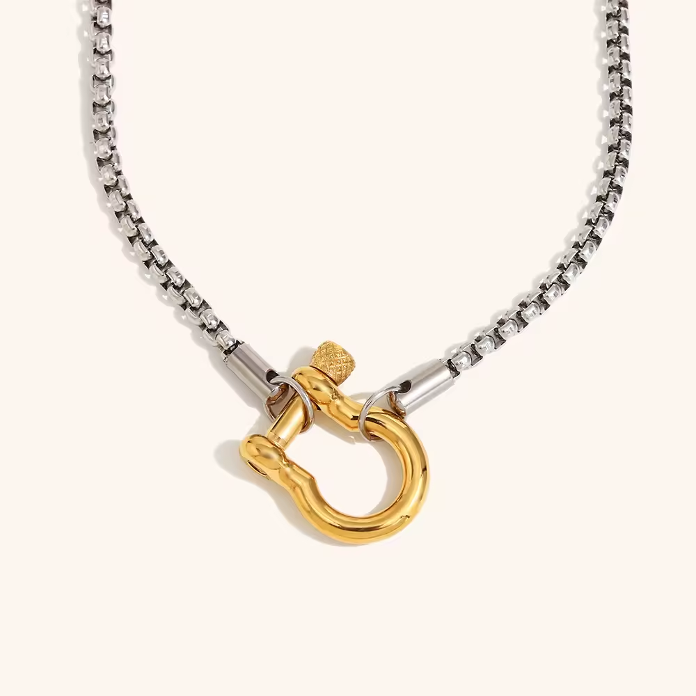 Buckle Lock Necklace