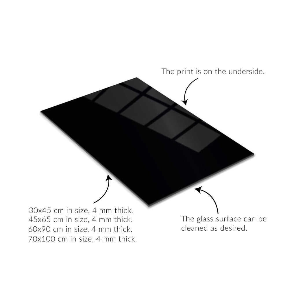 Elegant Black Horse Portrait UV Glass Wall Art