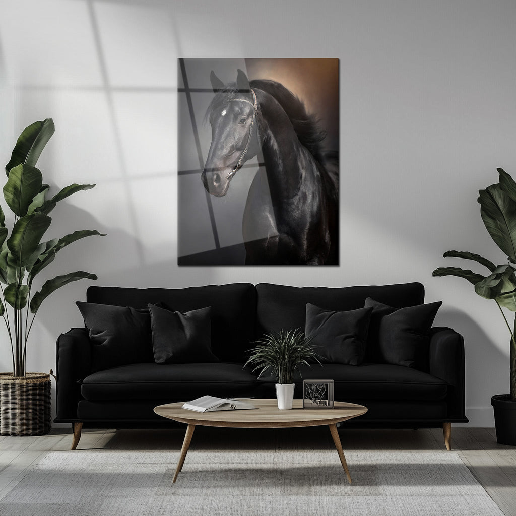 Elegant Black Horse Portrait UV Glass Wall Art