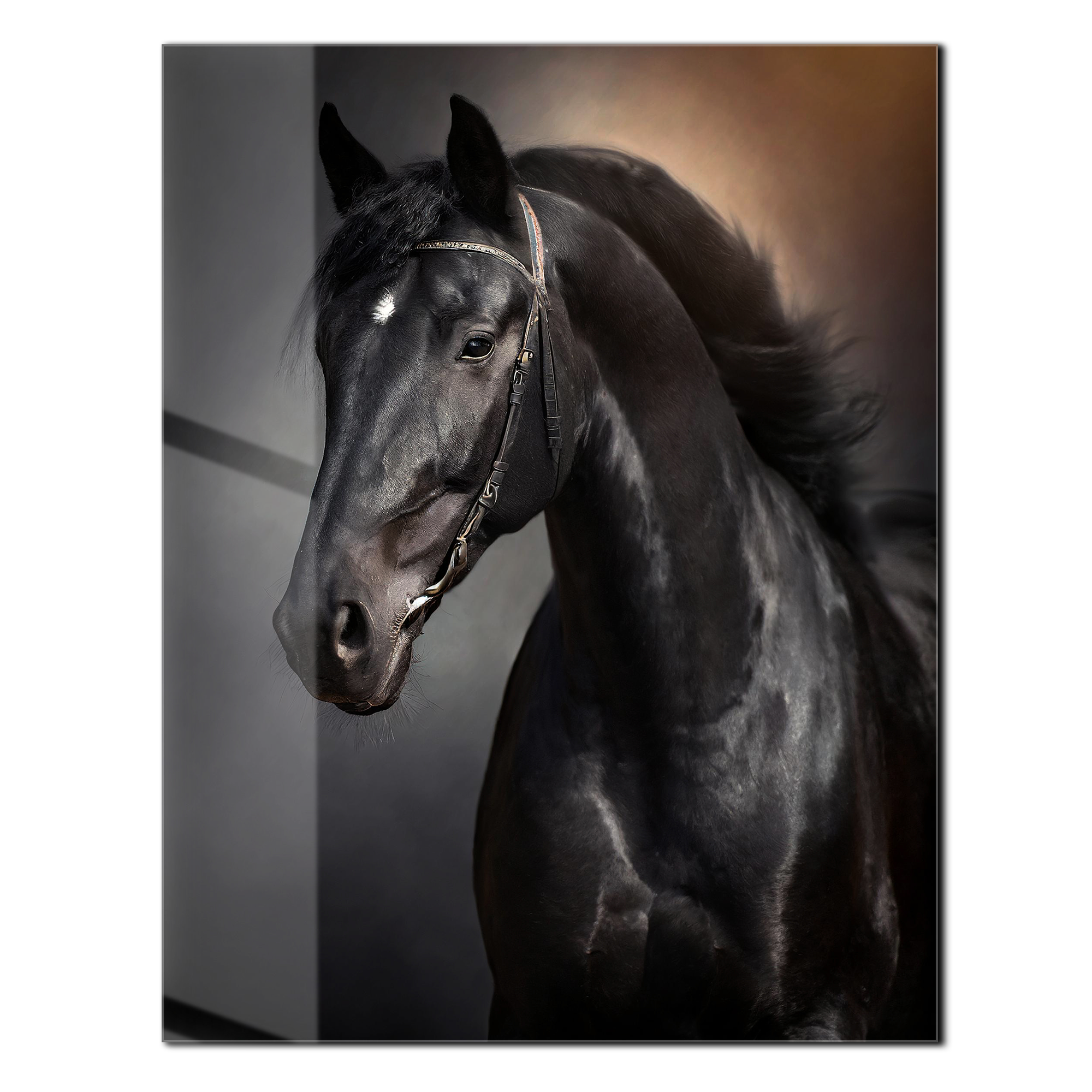 Elegant Black Horse Portrait UV Glass Wall Art